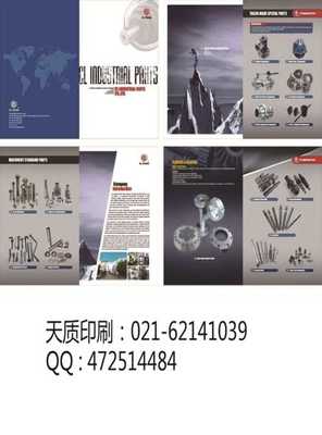 上海普陀区 融合画册印刷与软件开发，打造数字时代高端视觉传播方案